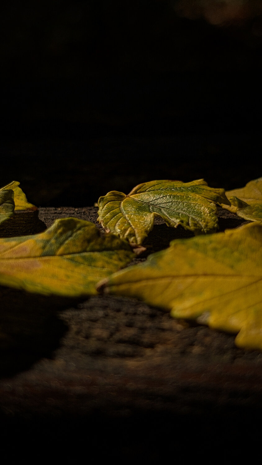 Photo #14104431