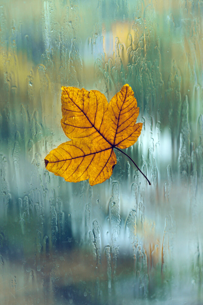 Photograph by Дарья Яковлева