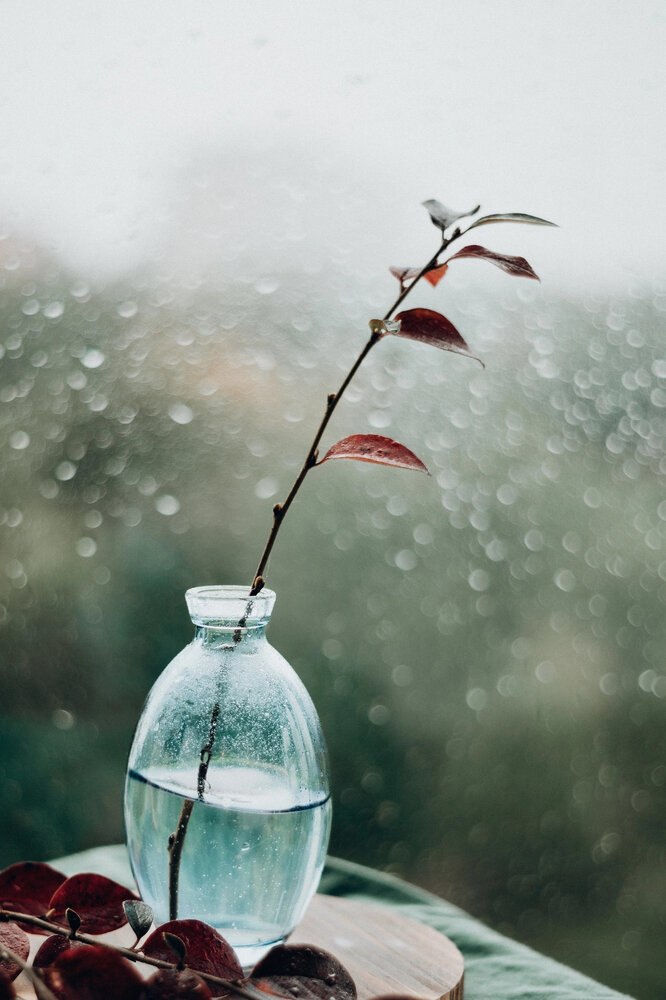Photograph by Яна Кульбацкая