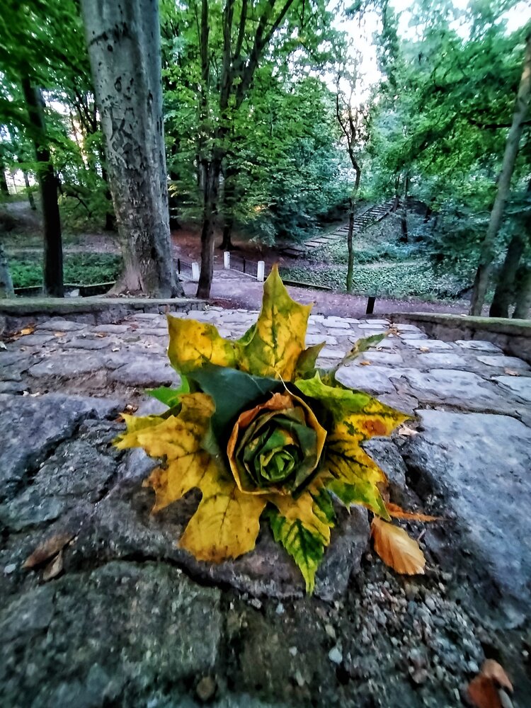Photograph by Елена Бадзюх