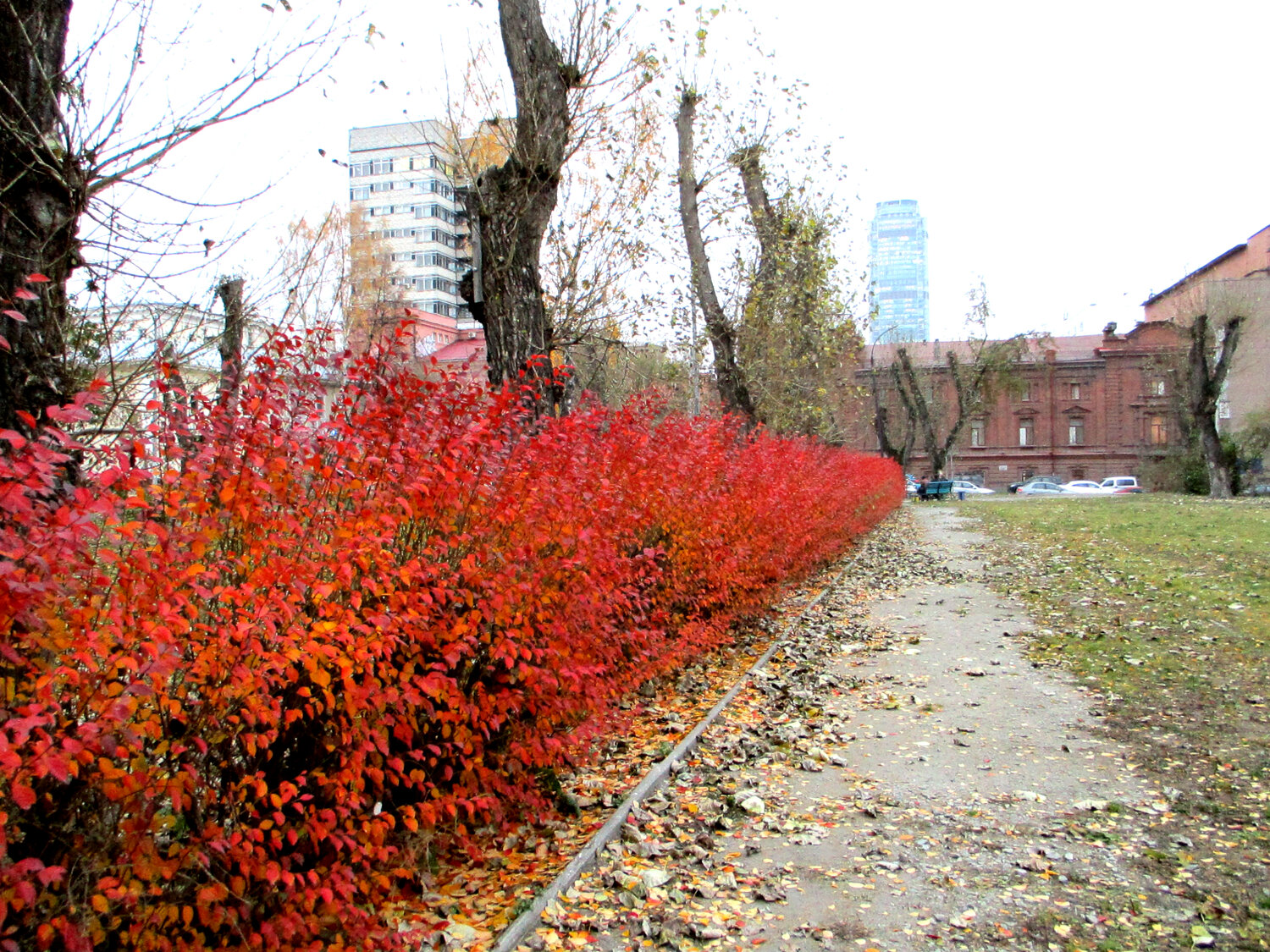 Photo #14104555