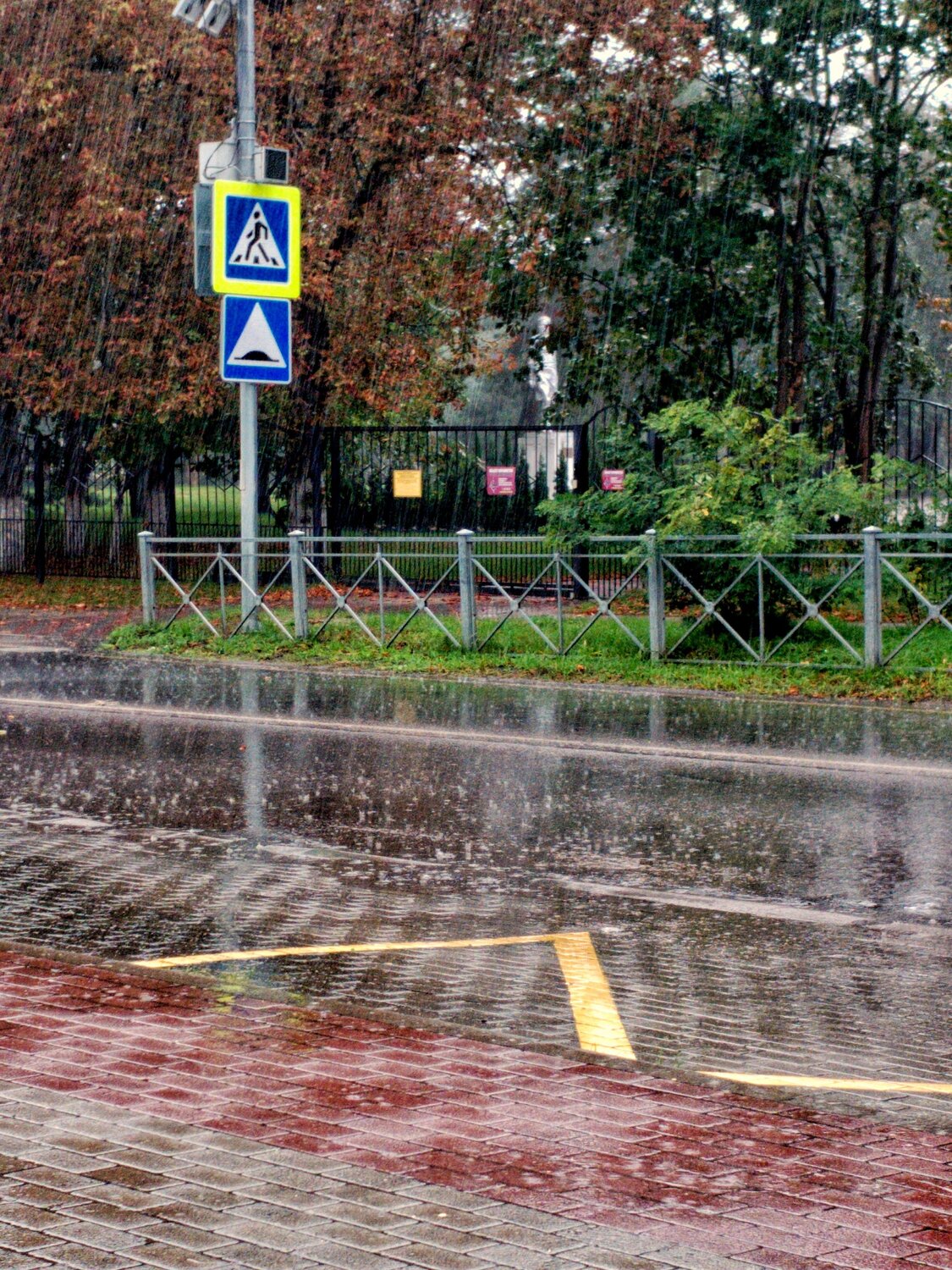 Photo #14104572