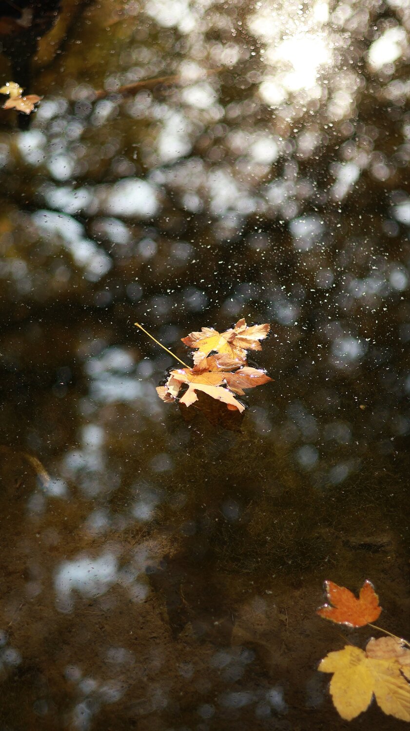 Photo #14104590