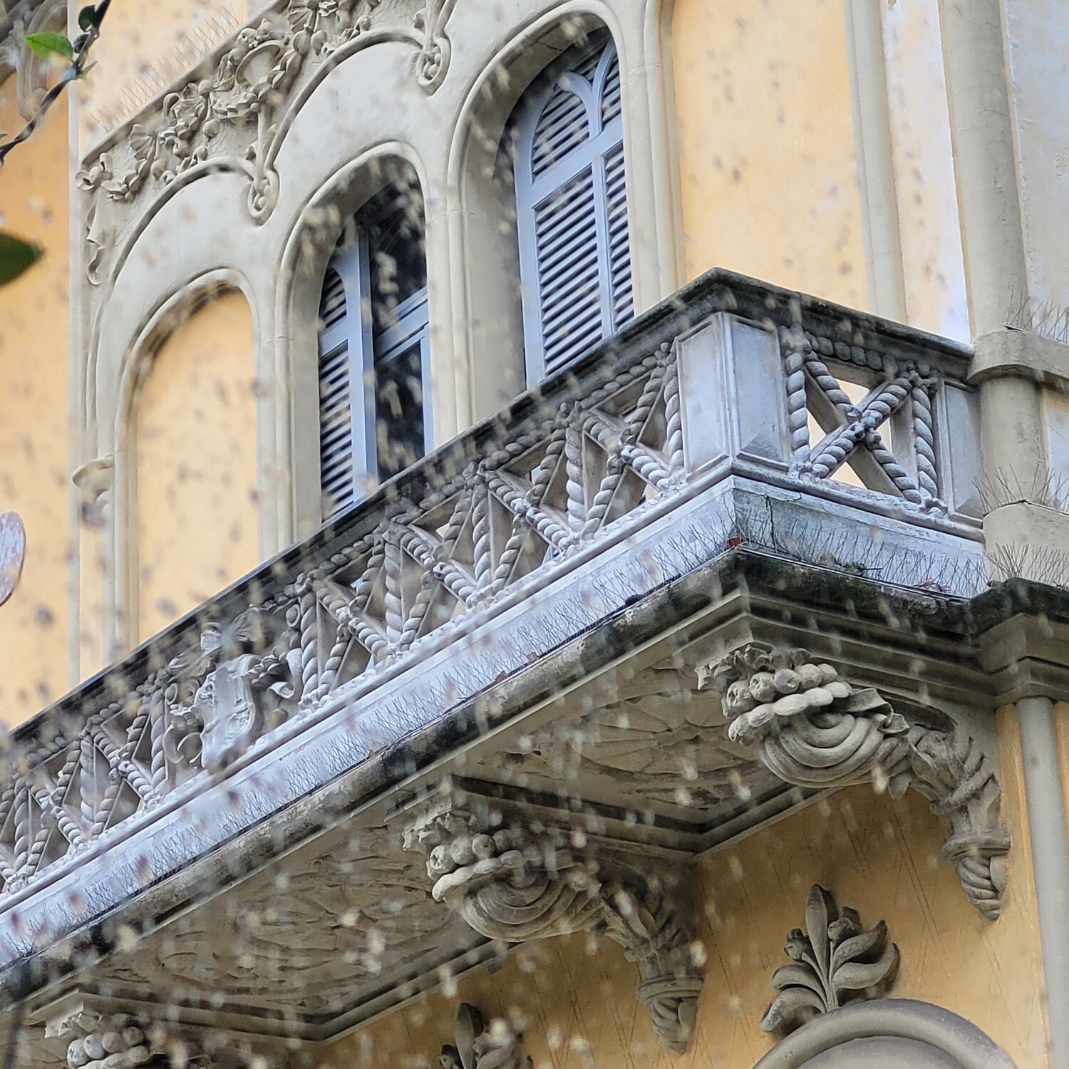 Photo #14104618