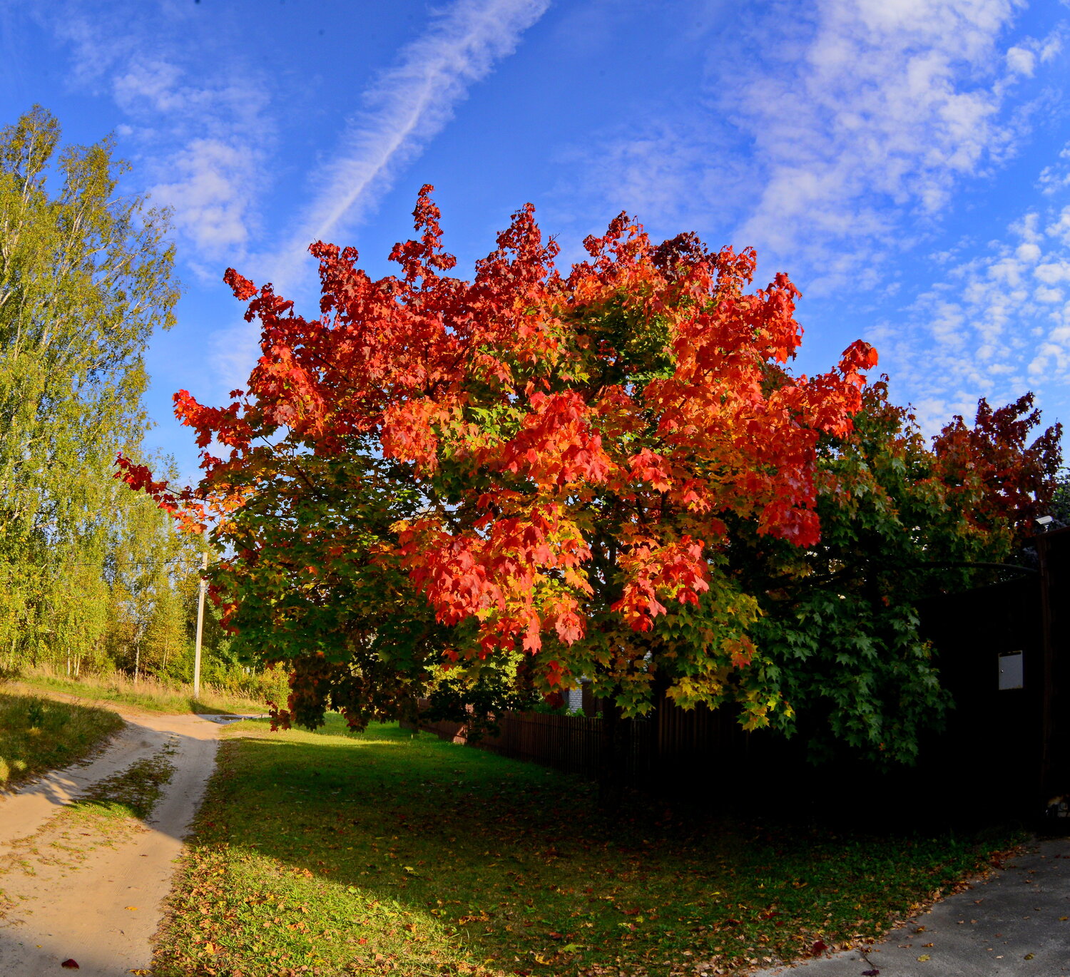 Photo #14104657