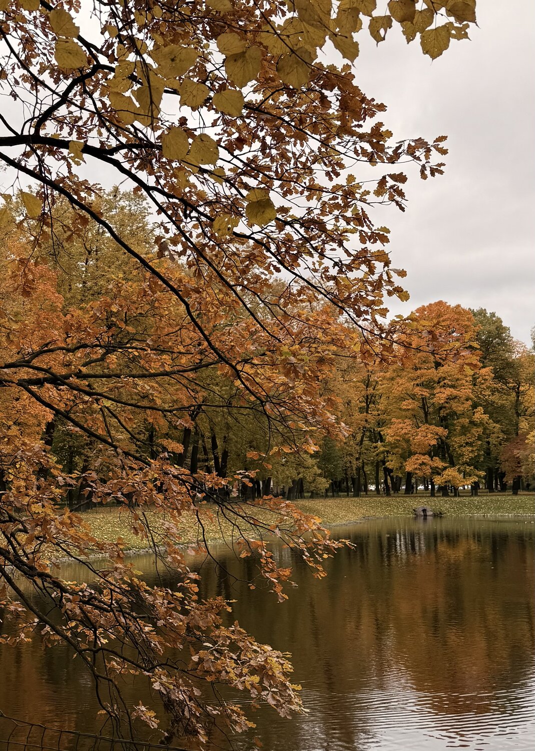 Photo #14104662