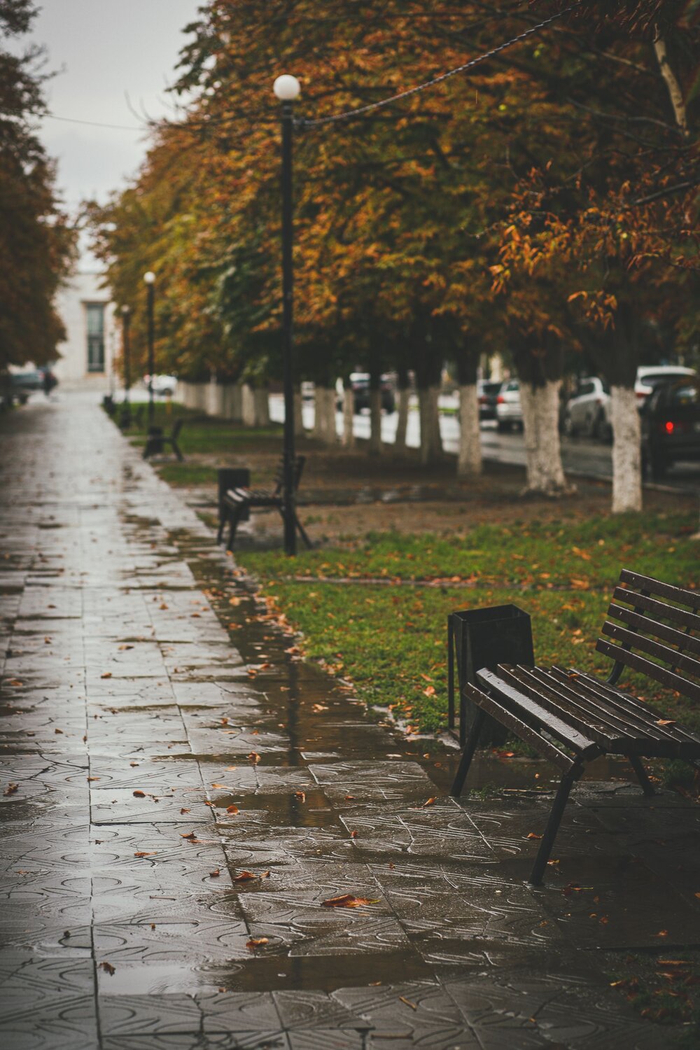 Фотография #14104736