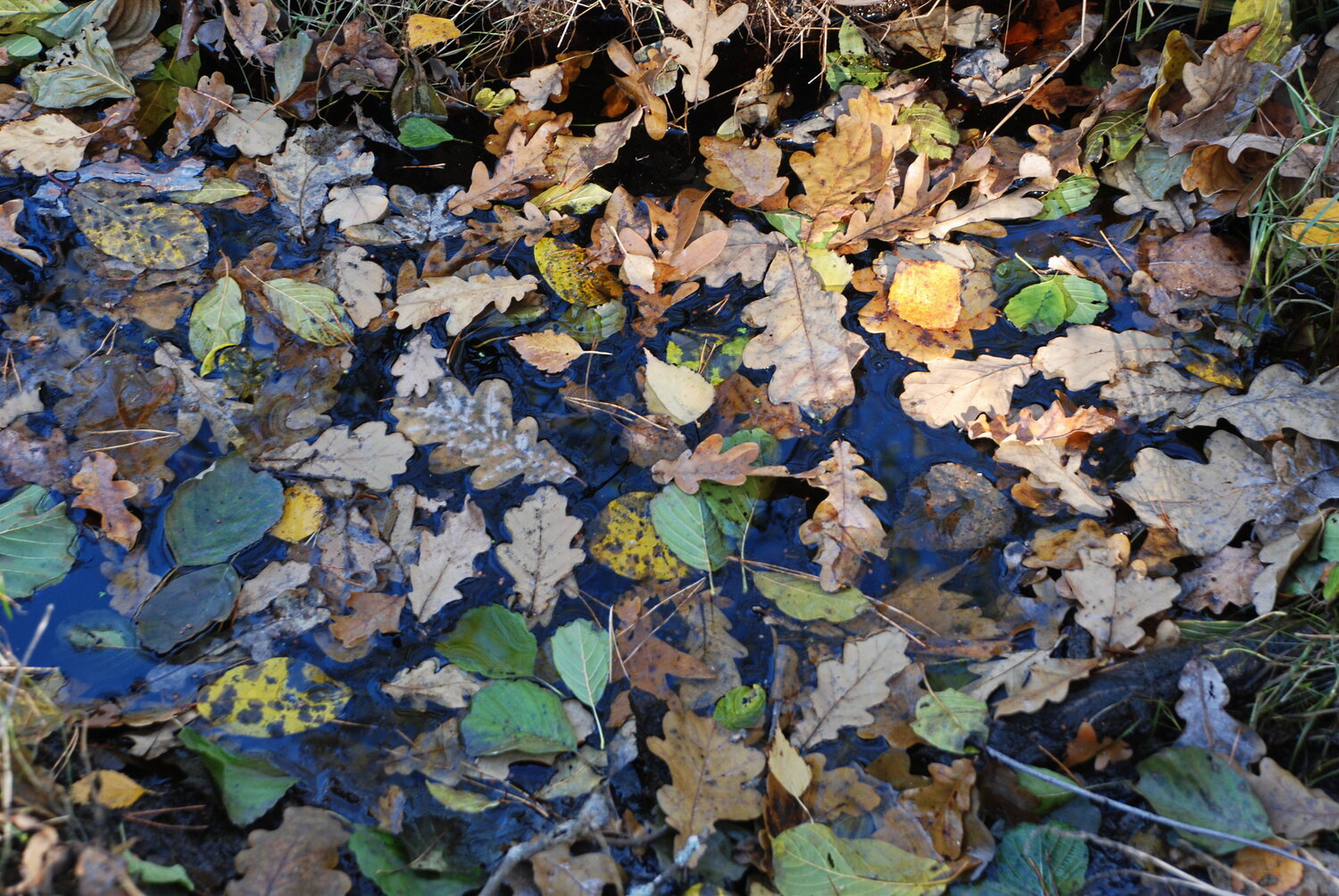 Photo #14104778