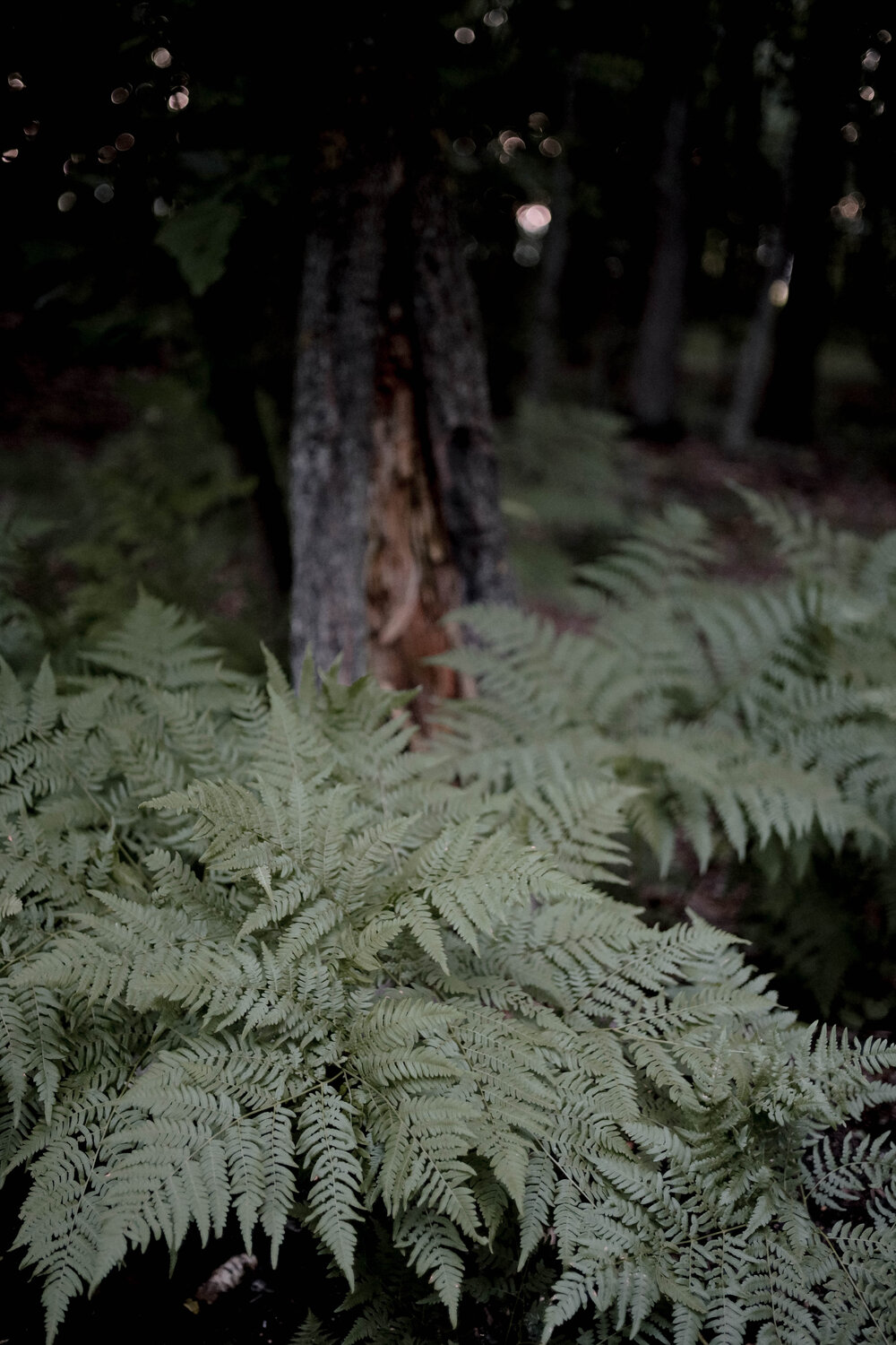 Photo #14104856