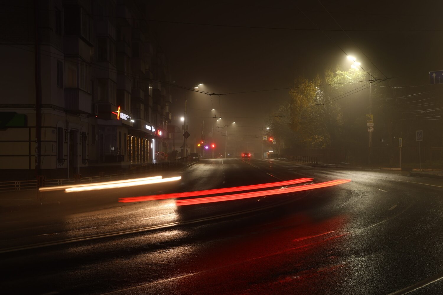 Photo #14104944