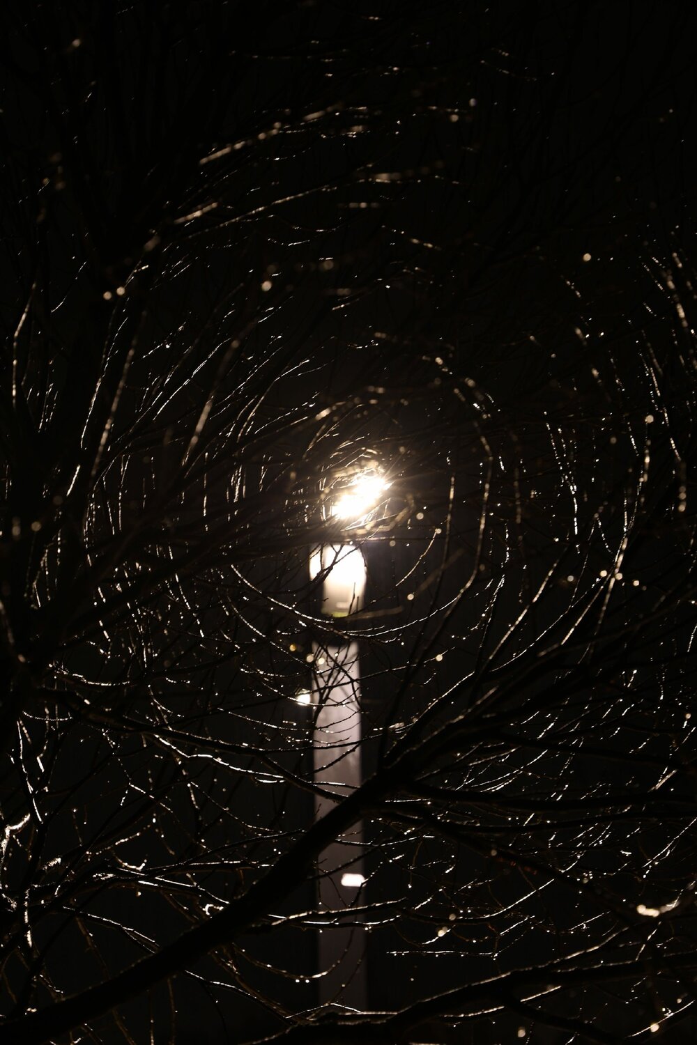 Photo #14104948