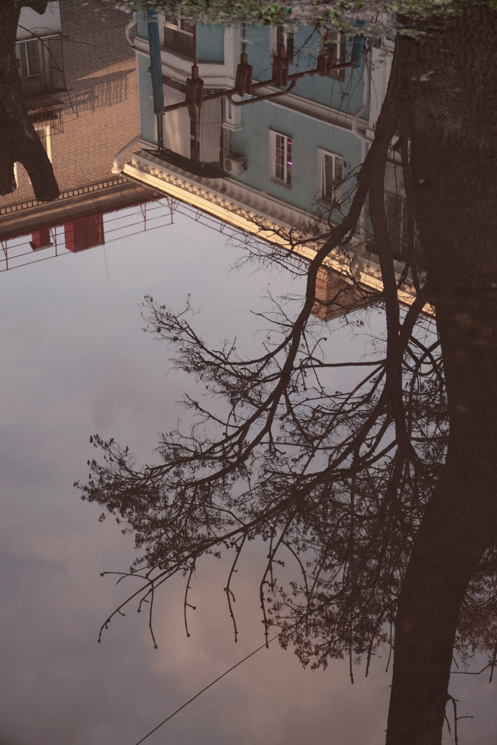 Photo #14104950