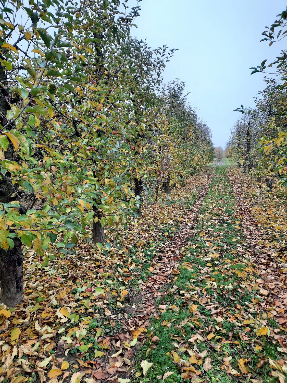 Photo #14104956