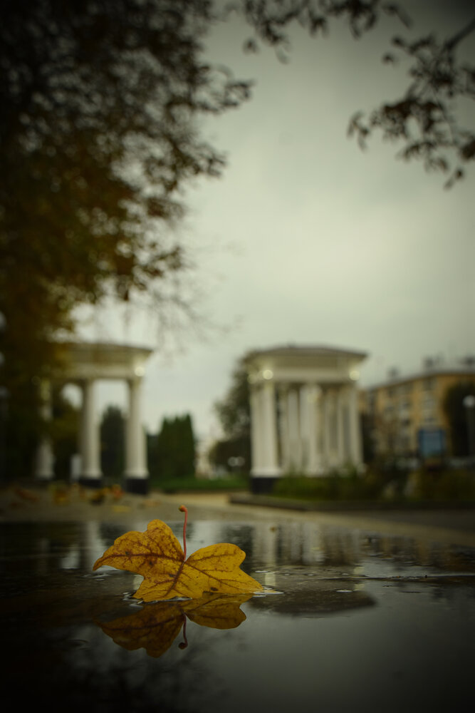 Photograph by Ольга Рыкова