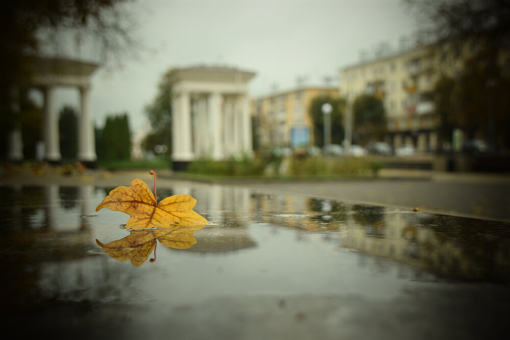 Photograph by Ольга Рыкова