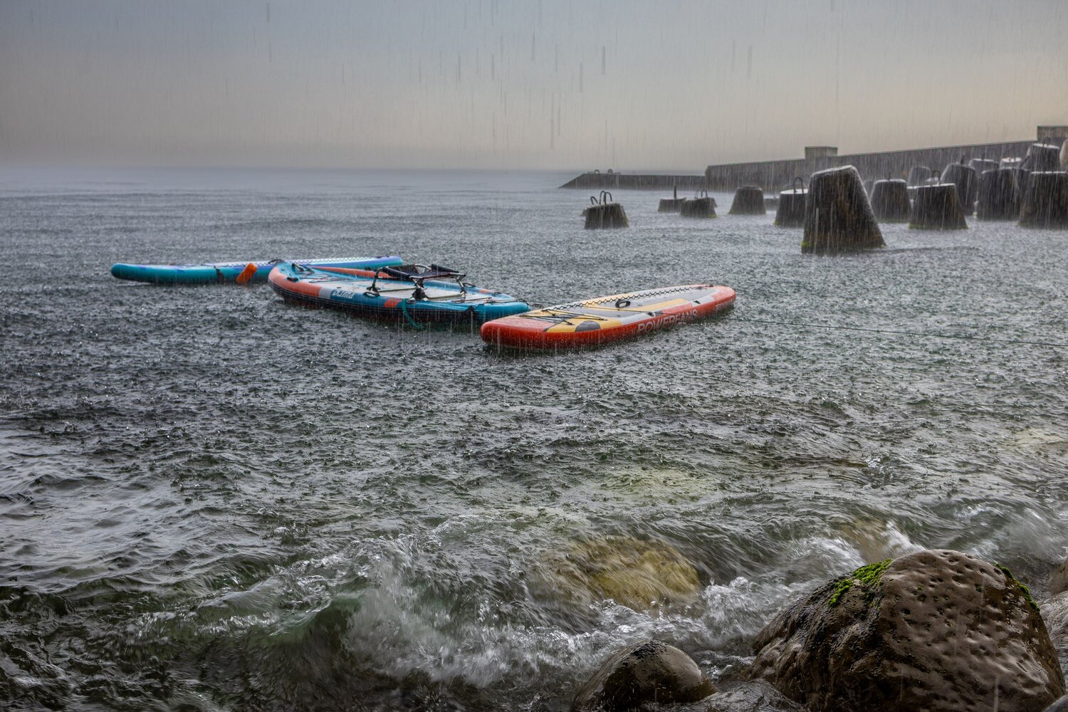 Photo #14105087