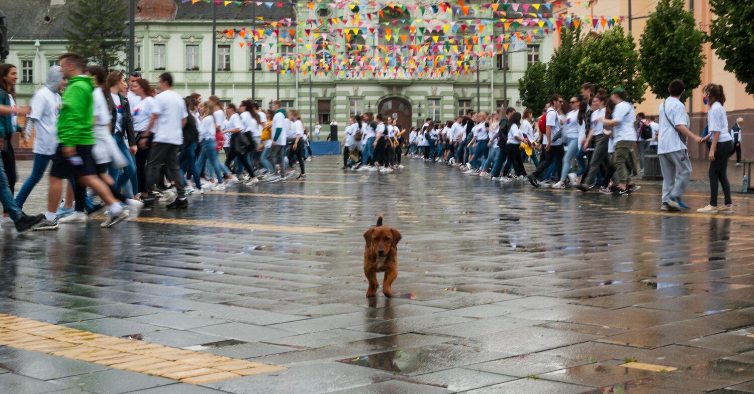 Photo #14105114