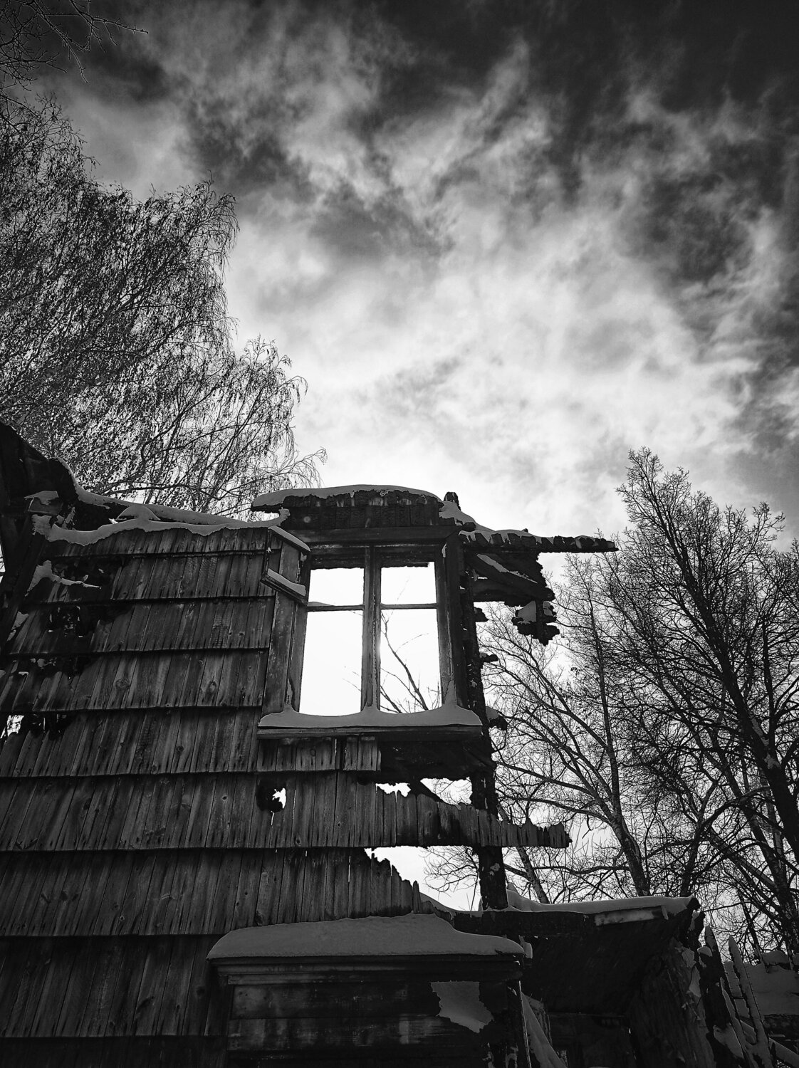 Photo #14105132