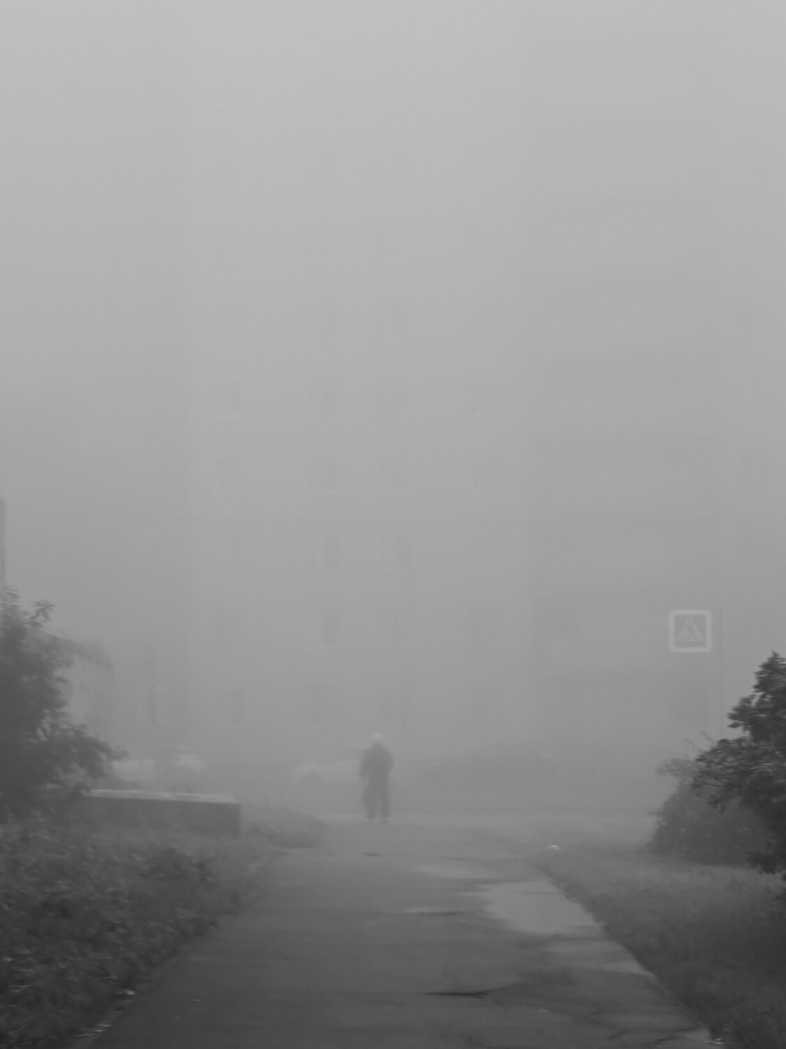 Photo #14105140