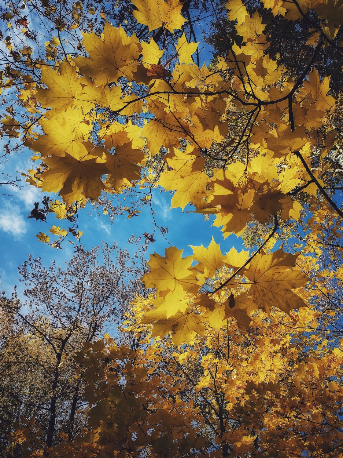 Photo #14105178