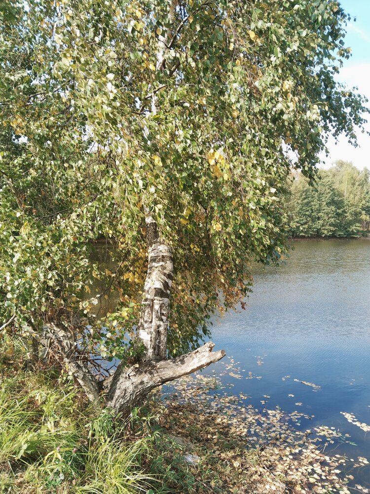 Photograph by Любовь Сухова