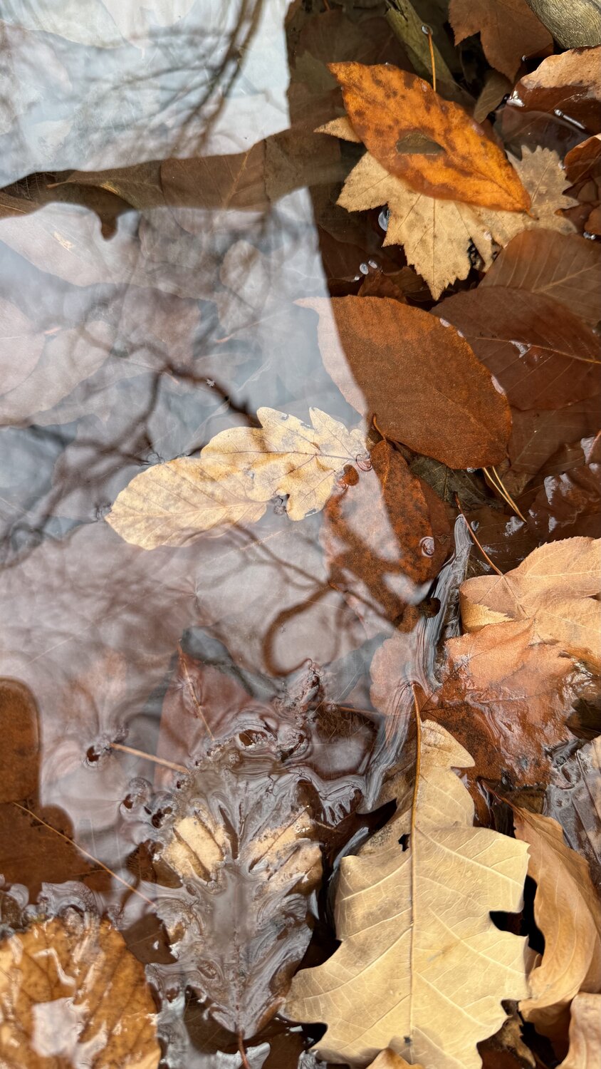 Photo #14105314
