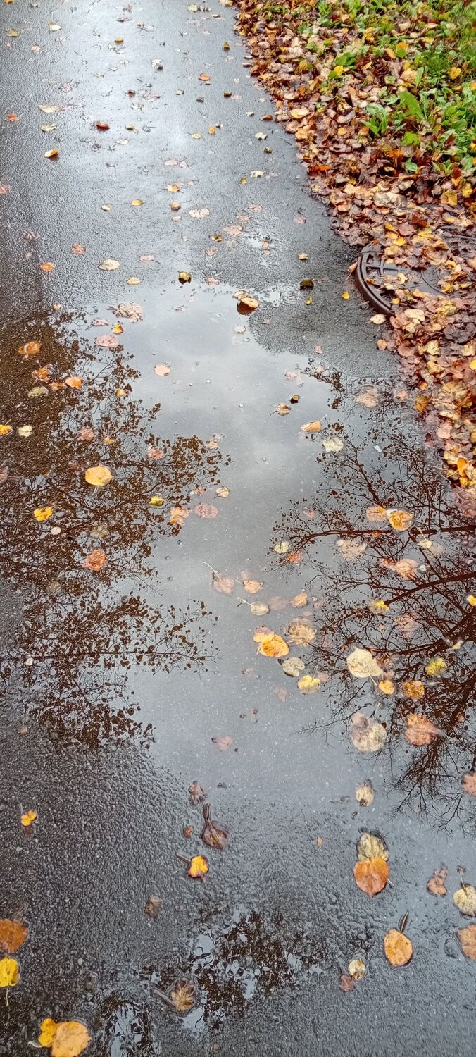 Photo #14105343
