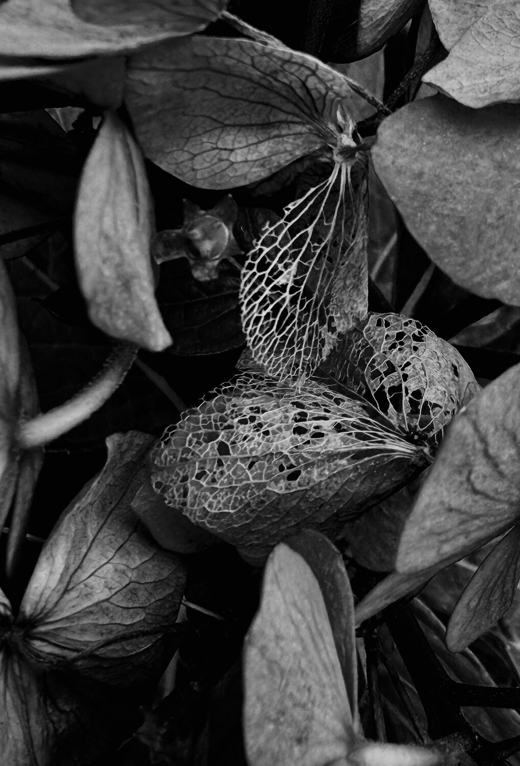 Photo #14105347
