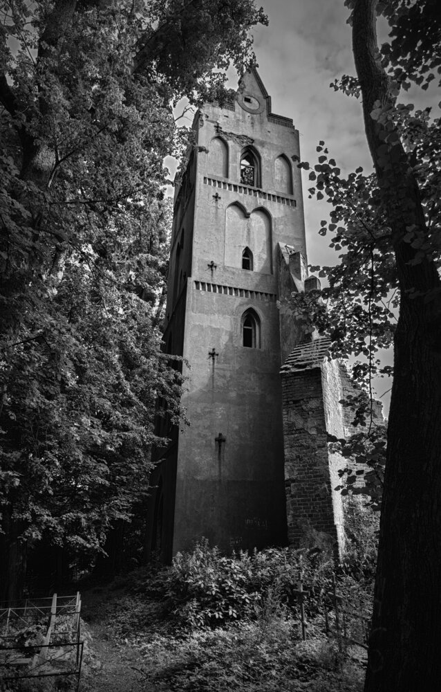 Photo #14105370
