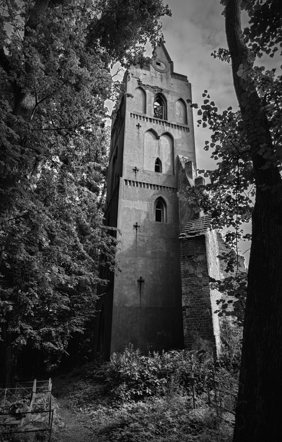 Photo #14105370