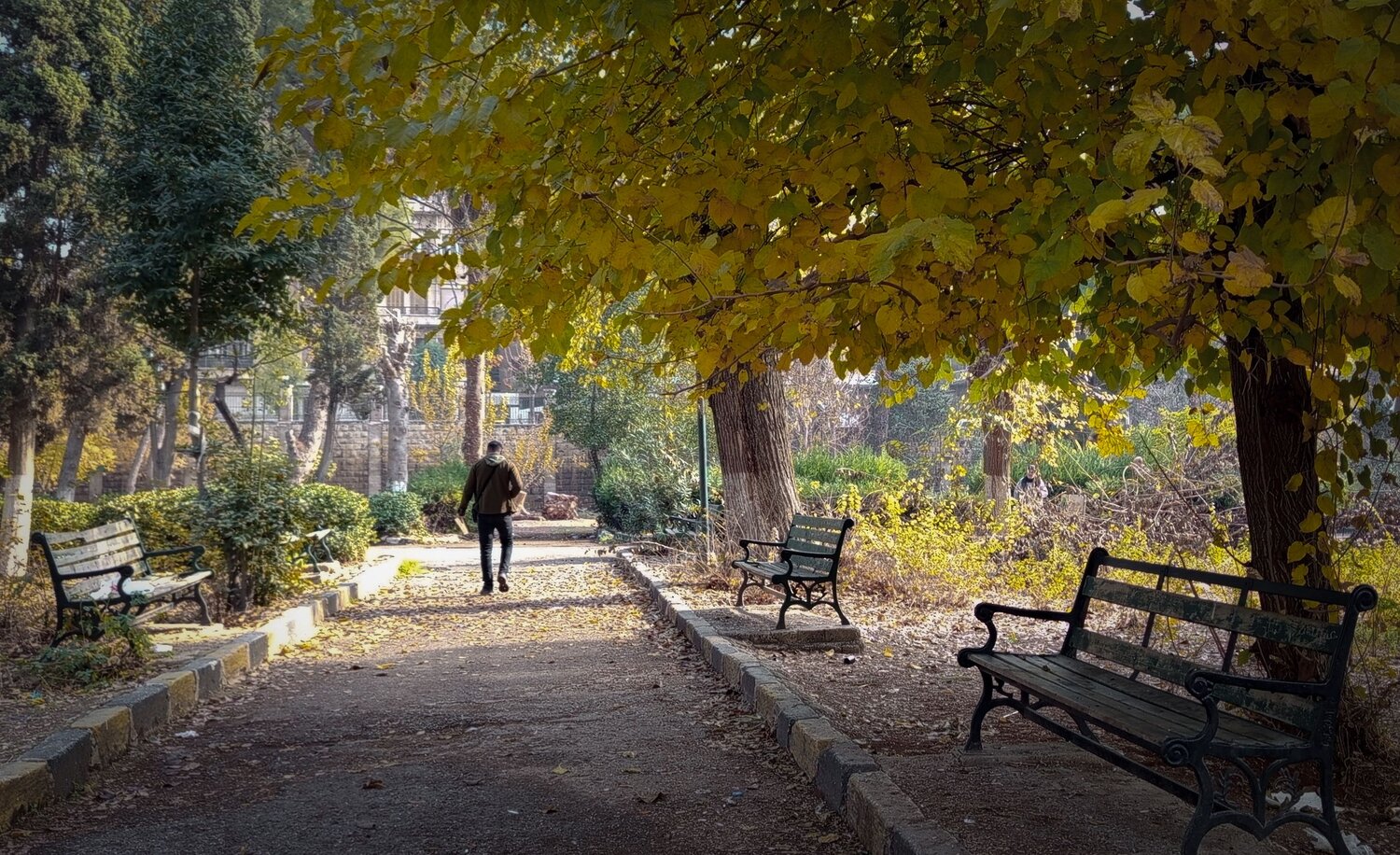 Solitary Journey in City Park: Warm Autumn