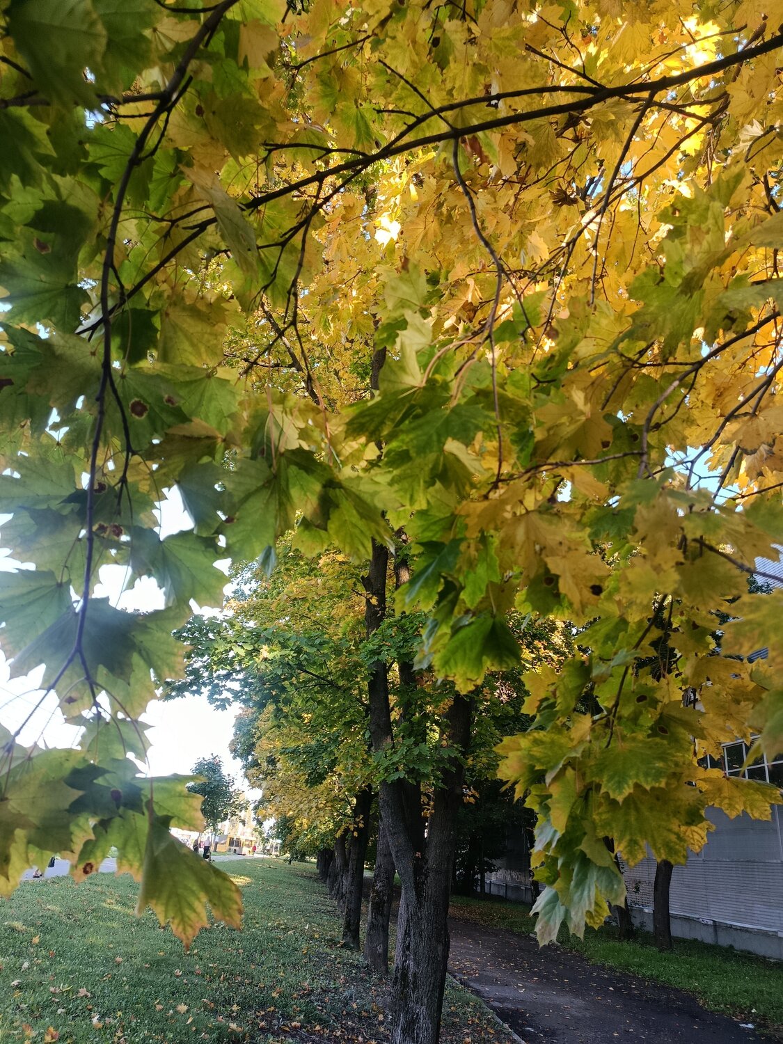 Photo #14105457