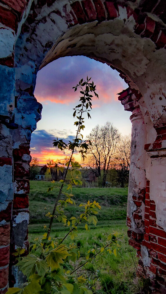 Photograph by Елена Васильева