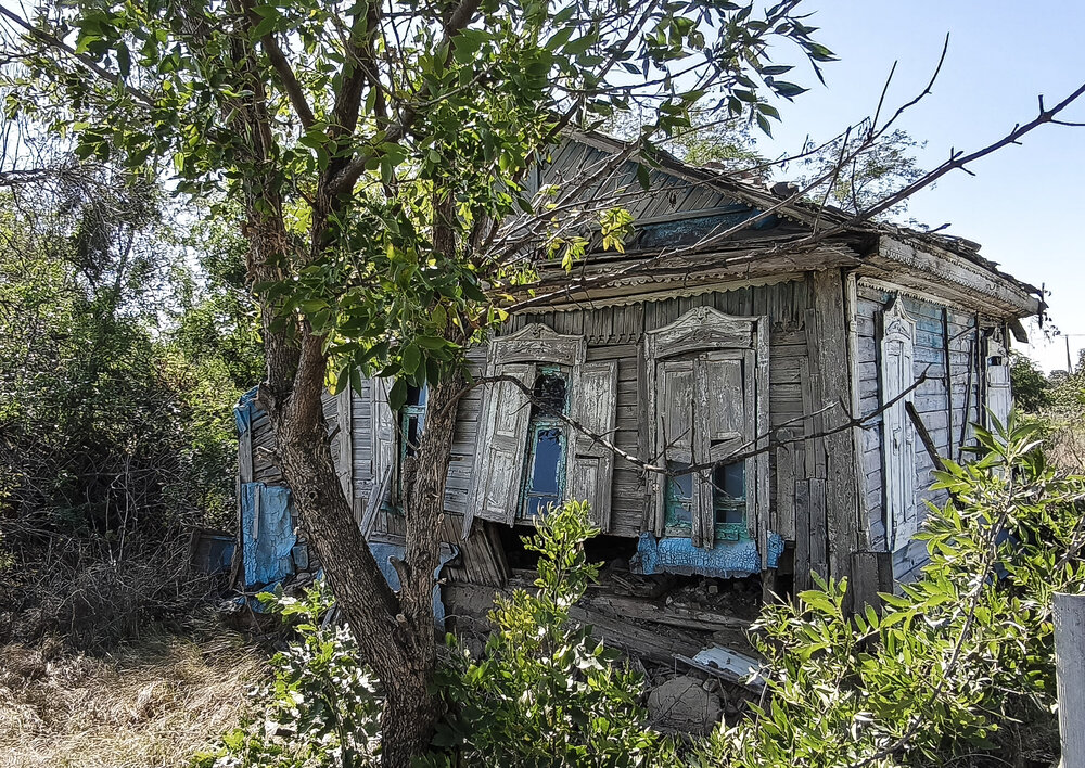 Вслед за хозяйкой...