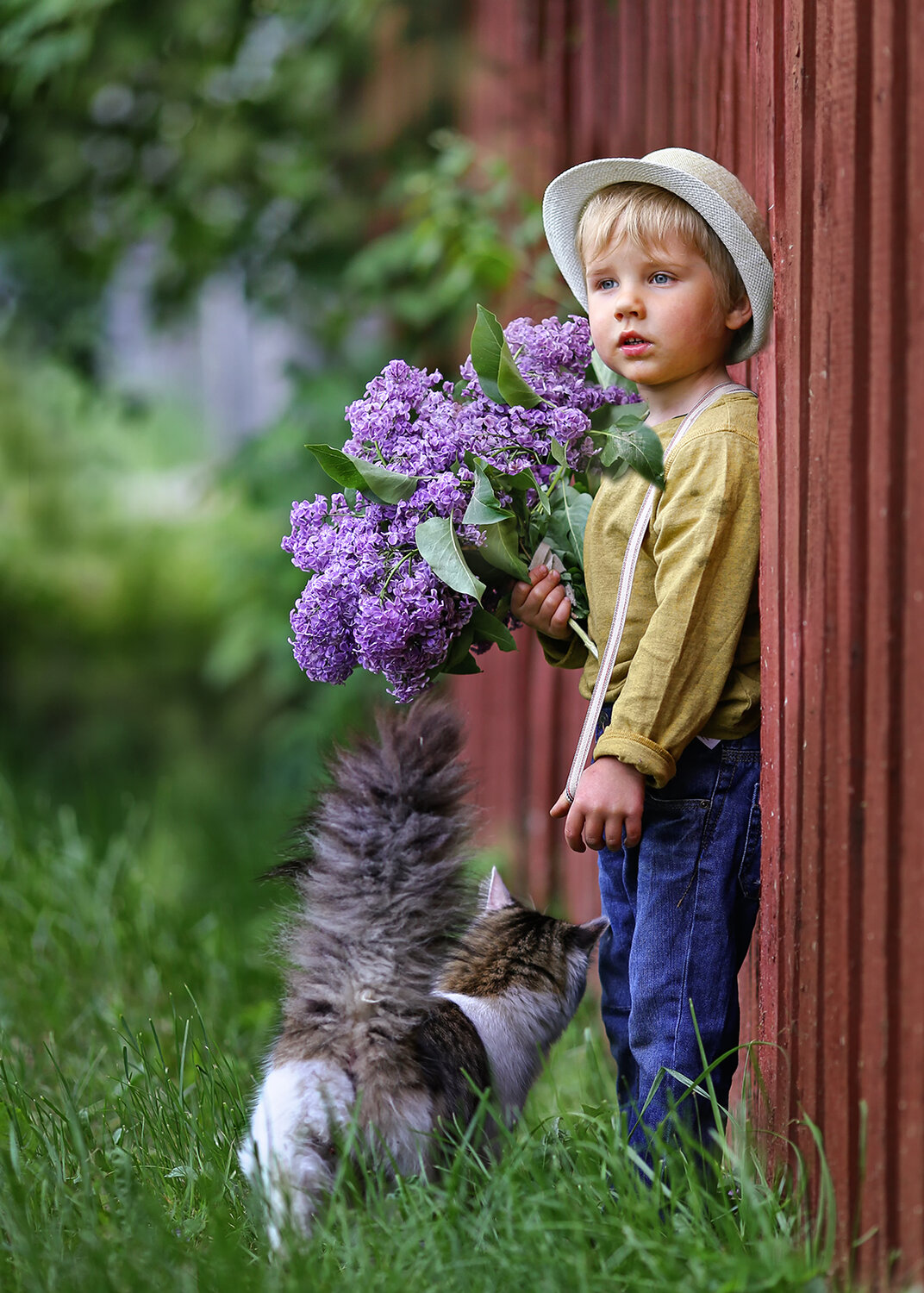 Ромка мечтатель