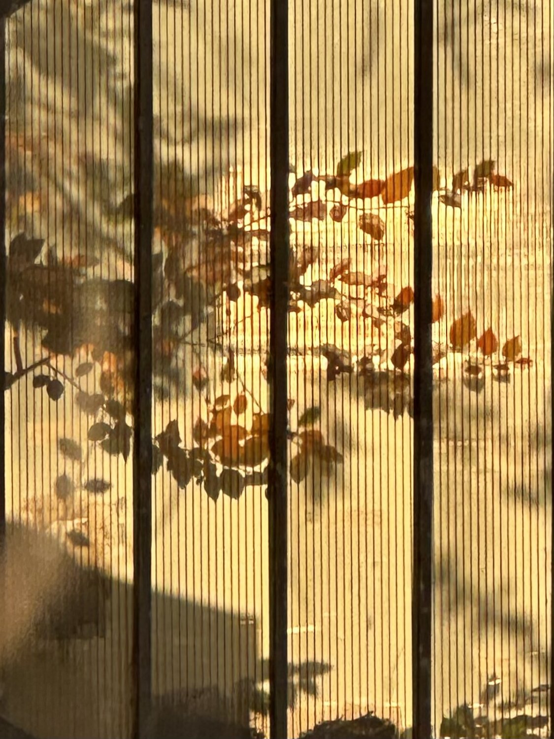 Photo #14105503
