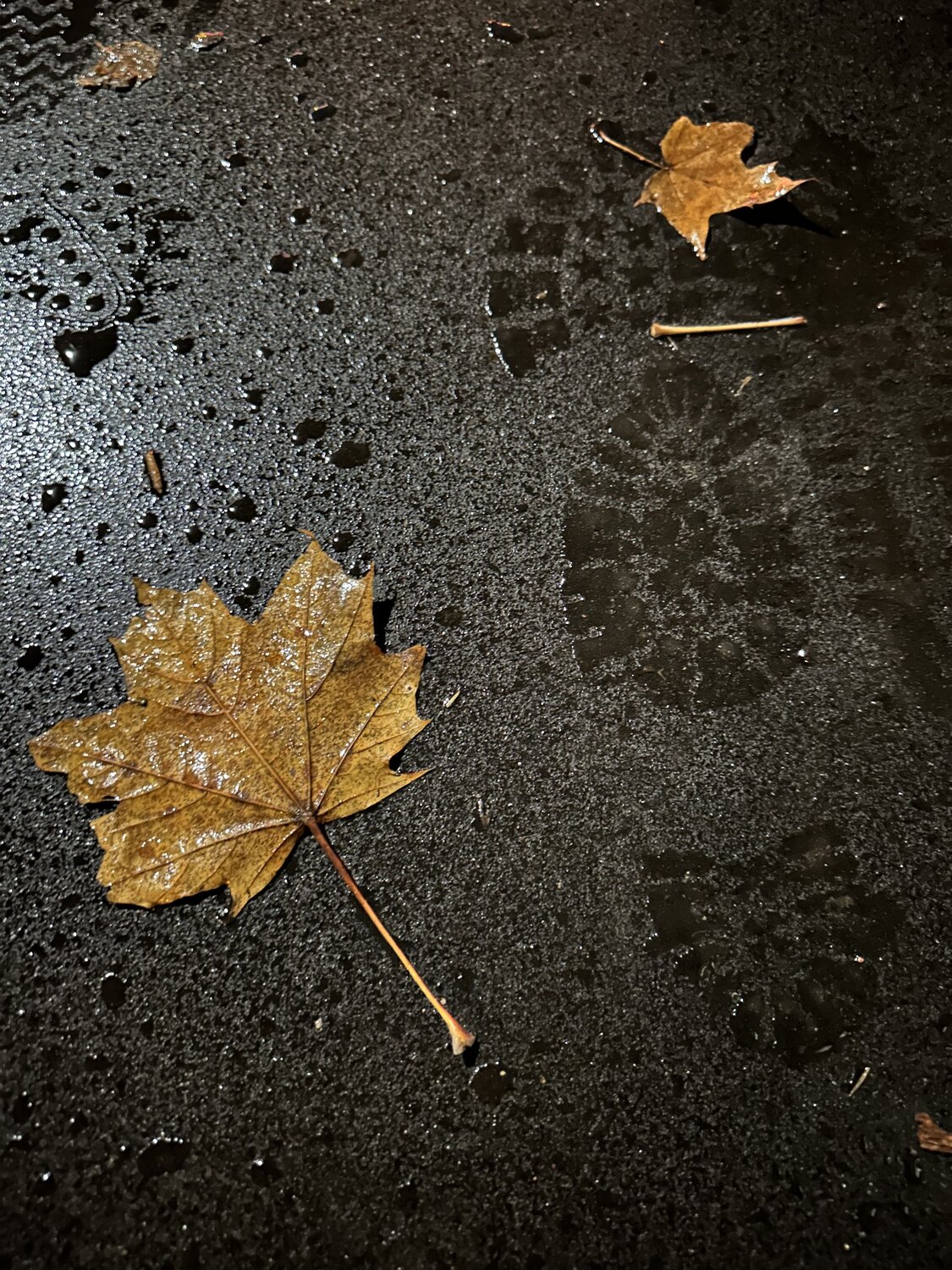 Photo #14105507