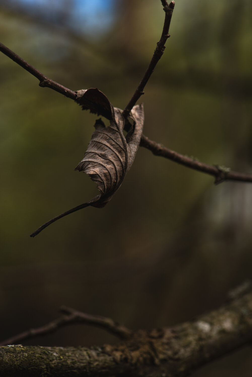 Photo #14105530