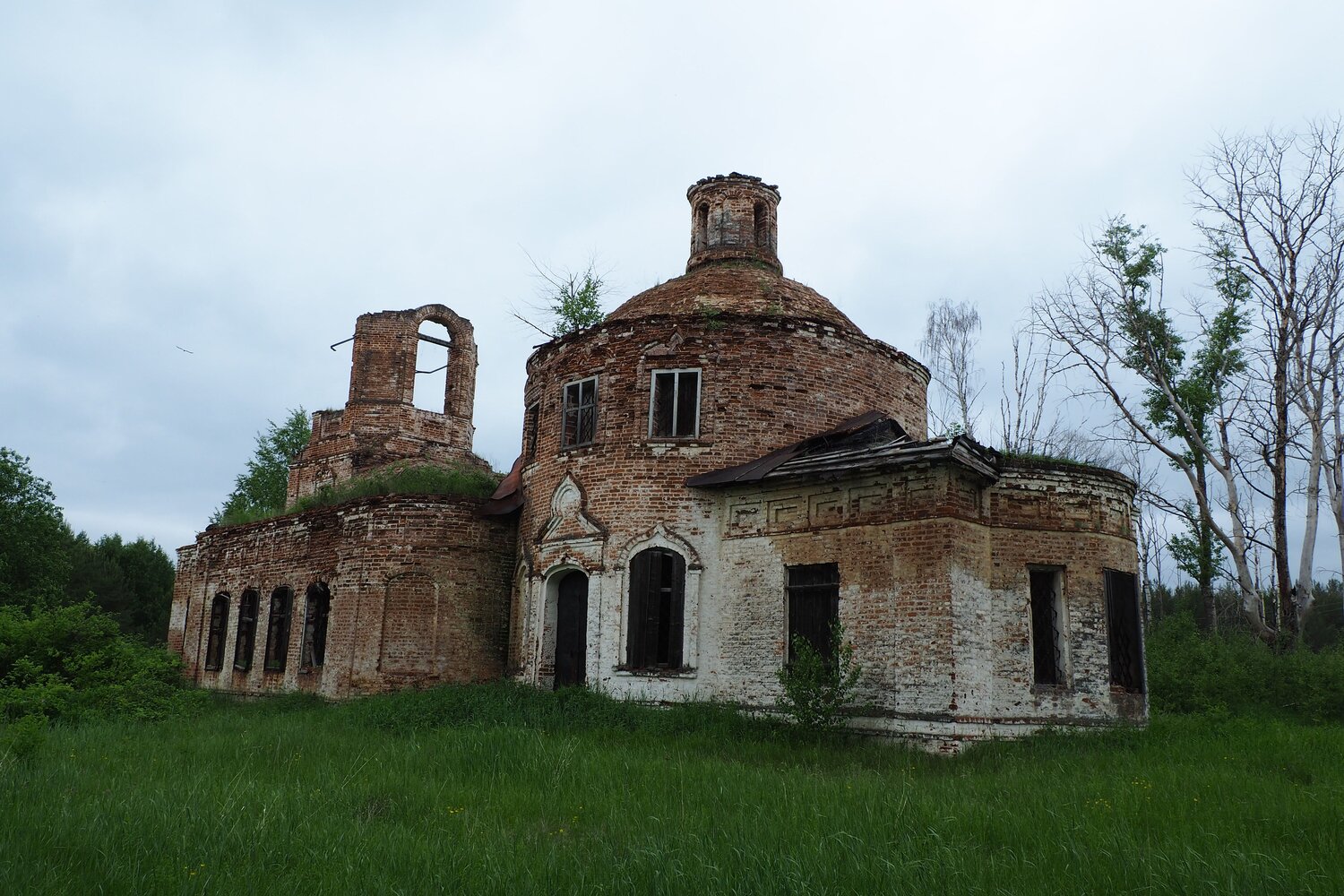 Photo #14105545