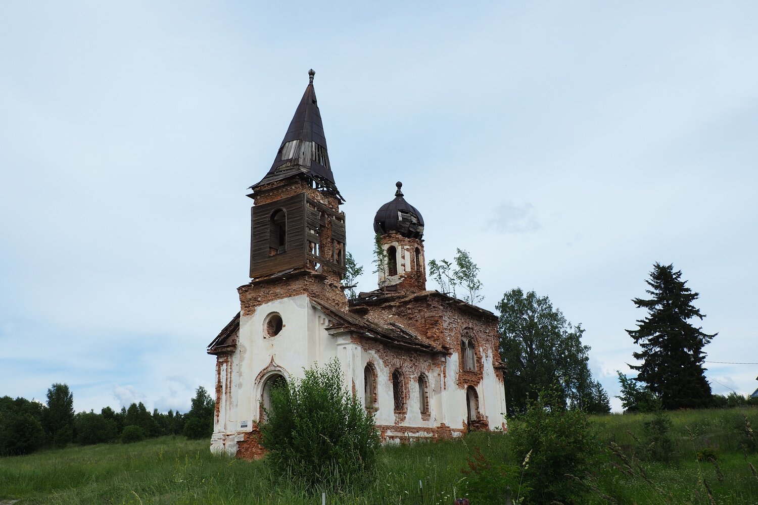 Photo #14105568