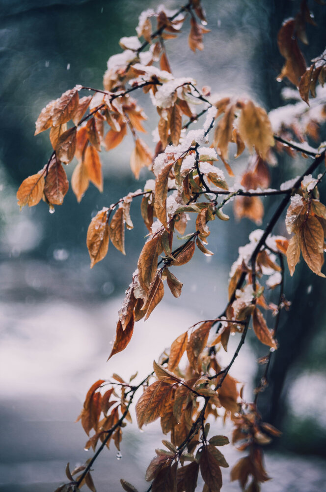 Photograph by Дмитров Андрей