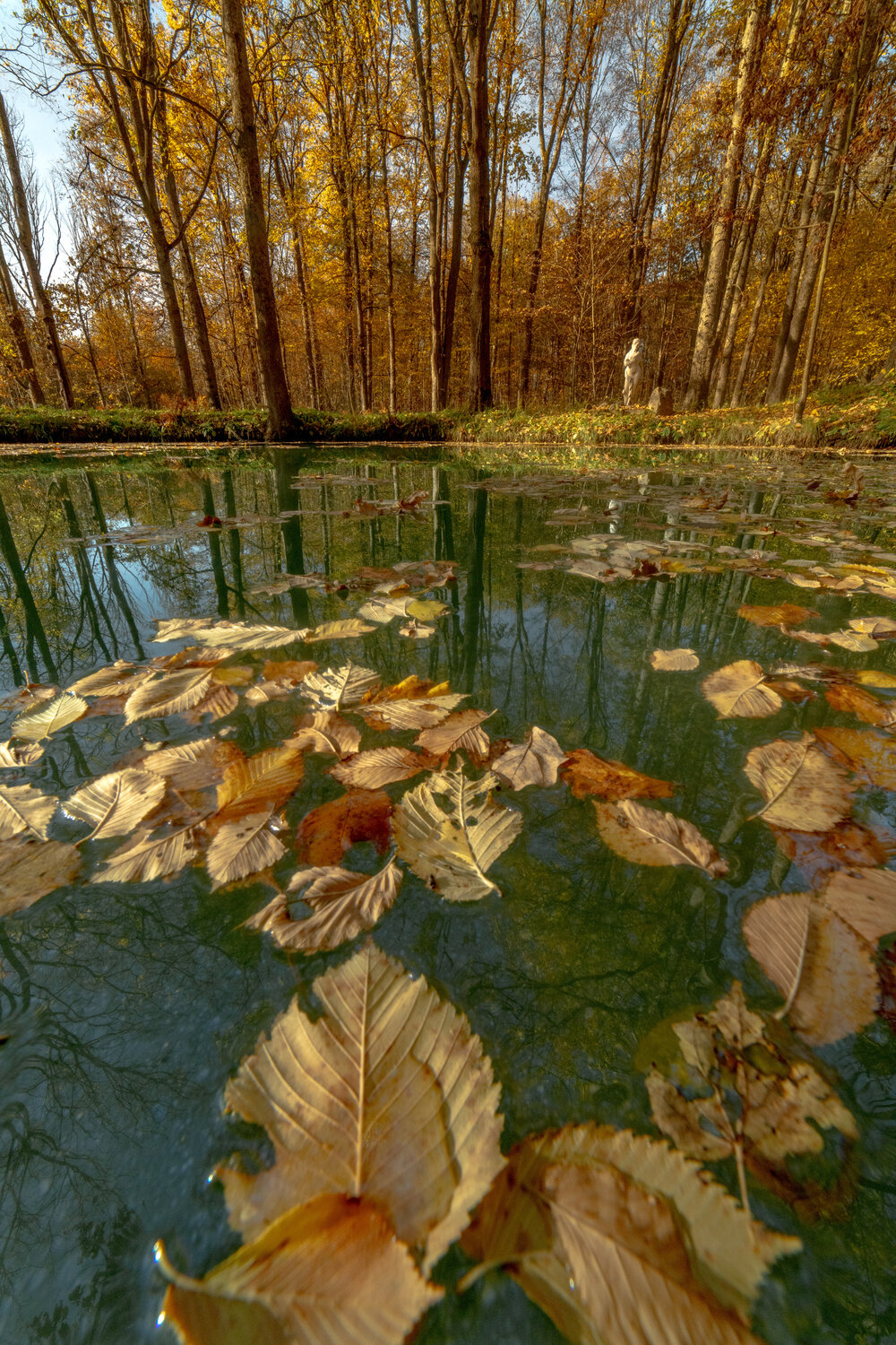 Photo #14105637