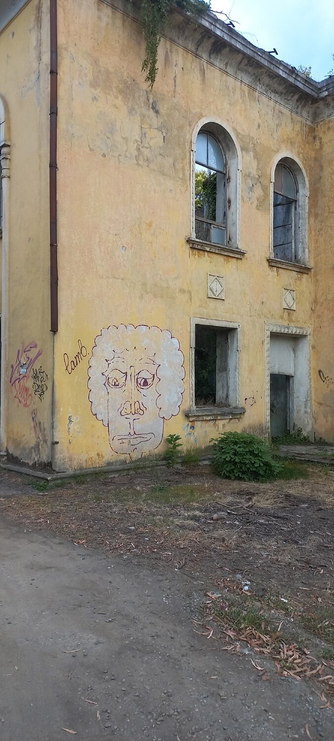 Photo #14105675