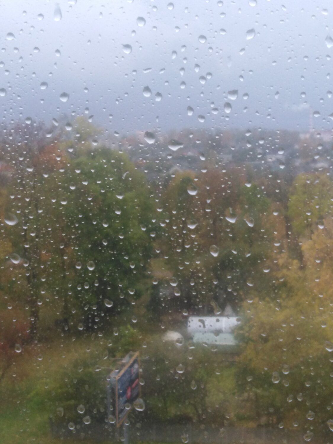 Фотография #14105763