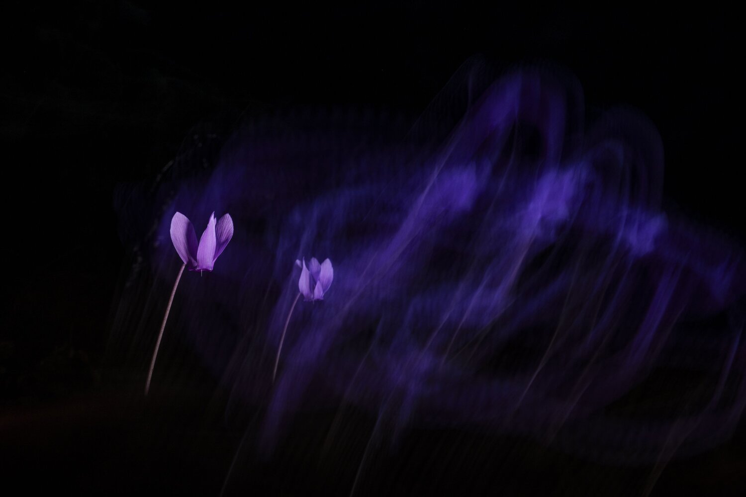 Photo #14105869