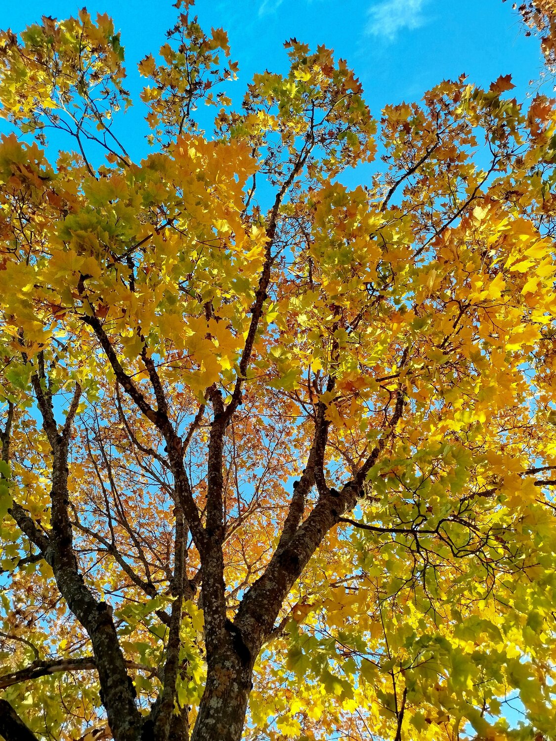 Photo #14105936