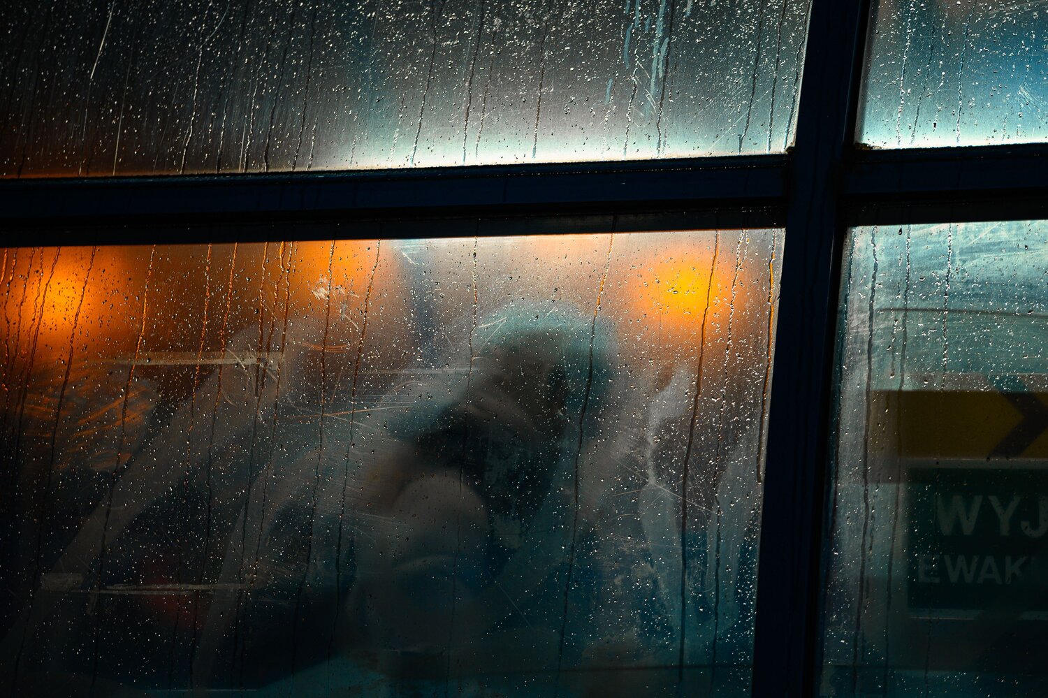Photo #14105945