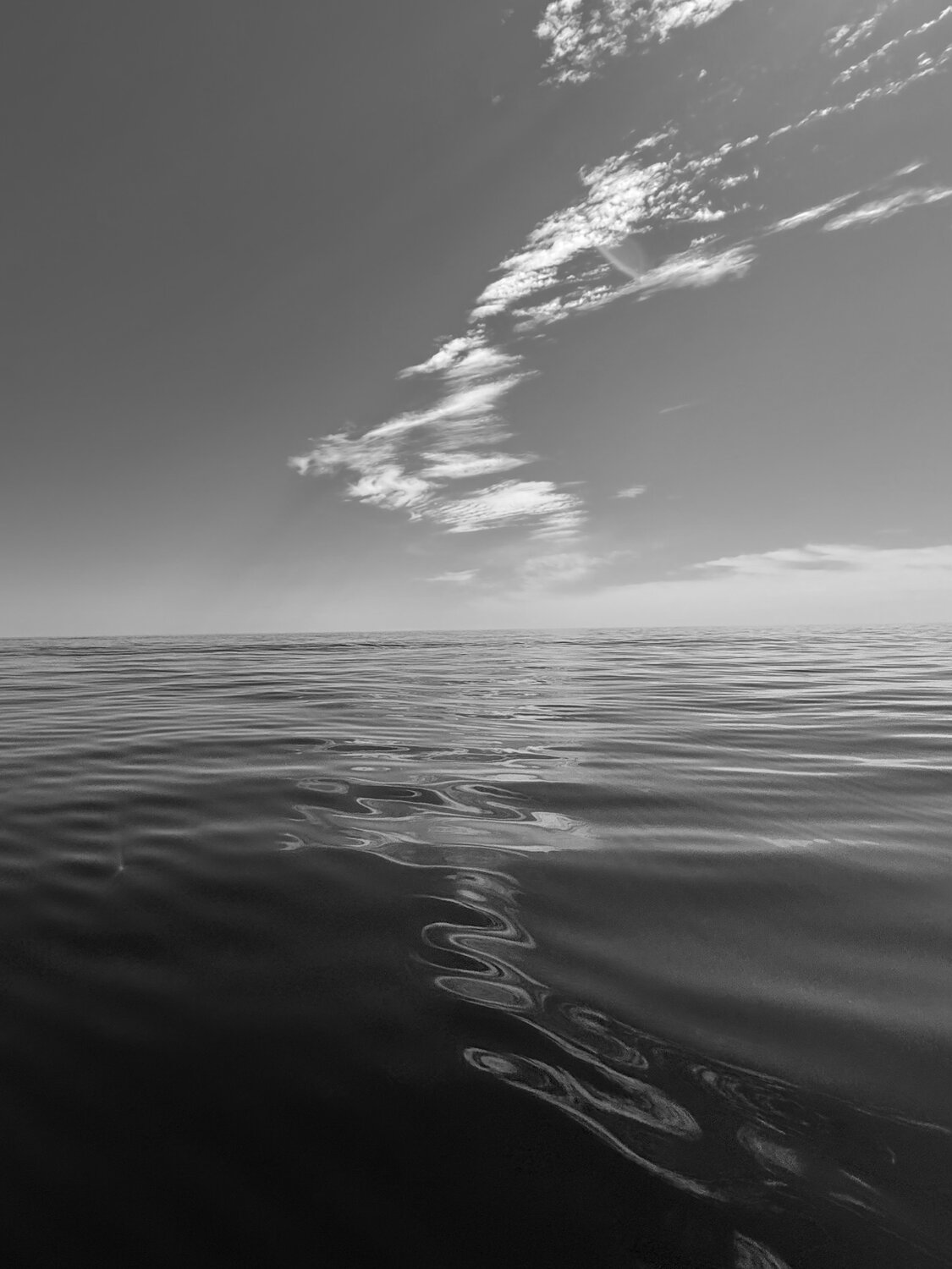 Photo #14105986