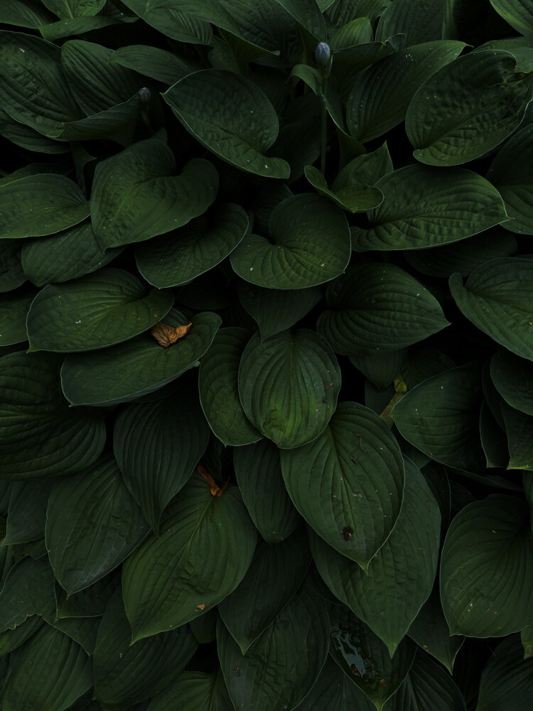 Photo #14106208