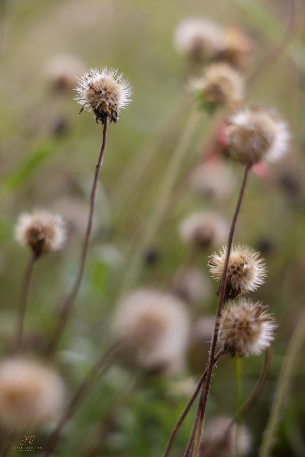 Photo #14106292